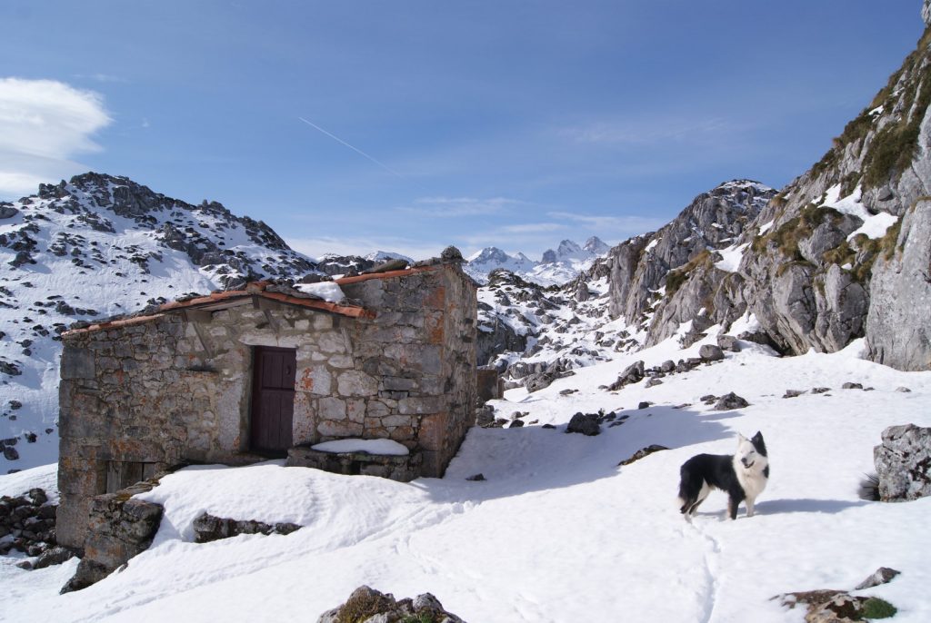 Rutas con raquetas de nieve